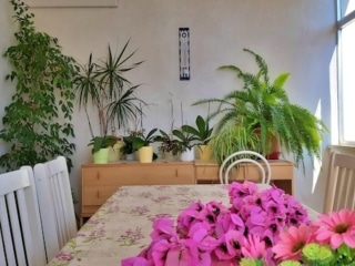 villa-mare-tucepi-apartment-6-23